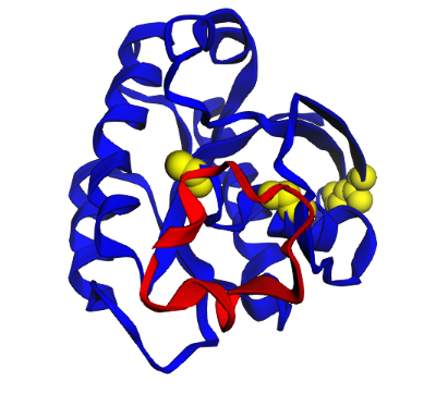 macrocycle design project screenshot